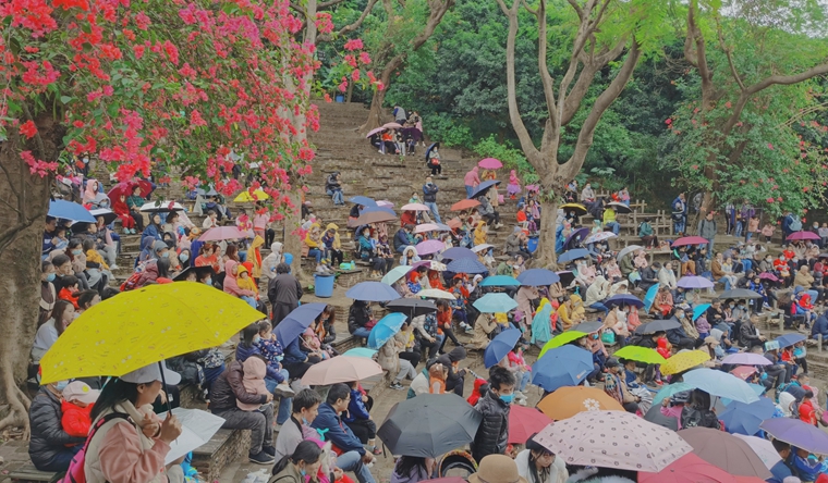 凤凰杏宇平台, 杏宇平台500平台,