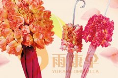 <b>杏宇怎么注册玫瑰花伞 YK-MGHS295</b>